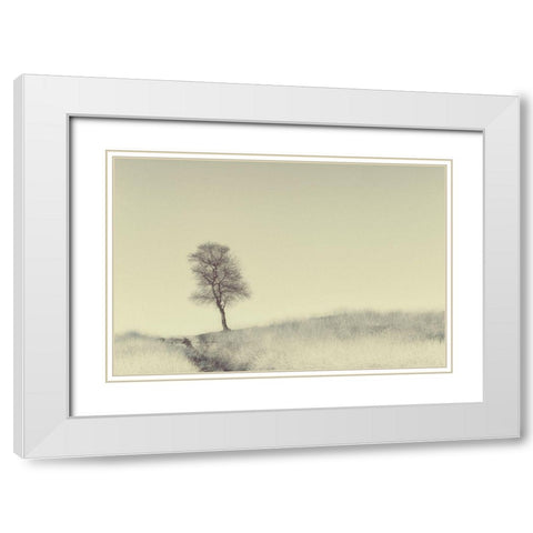 Tree On Top White Modern Wood Framed Art Print with Double Matting by Van Den, Jaap