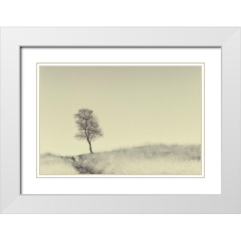 Tree On Top White Modern Wood Framed Art Print with Double Matting by Van Den, Jaap