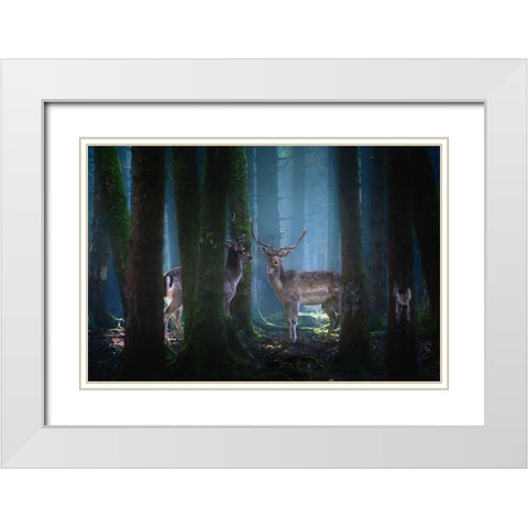 Deers White Modern Wood Framed Art Print with Double Matting by Aurednik, Patrick
