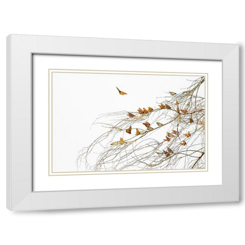 Winter Monarchies White Modern Wood Framed Art Print with Double Matting by Mao, Dianne