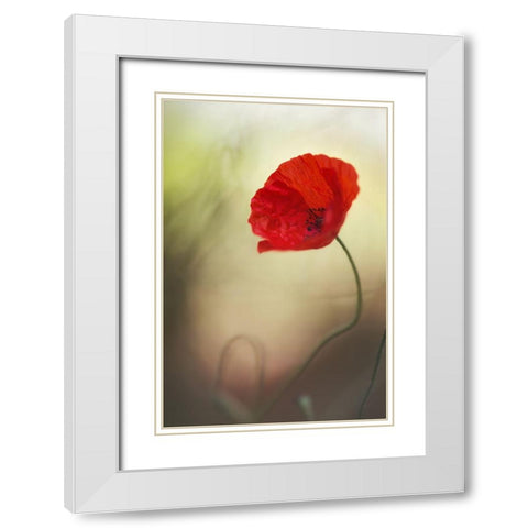 Untitled White Modern Wood Framed Art Print with Double Matting by Or, Keren