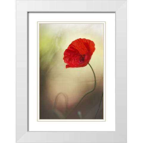 Untitled White Modern Wood Framed Art Print with Double Matting by Or, Keren