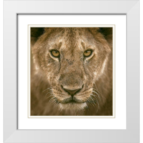 Contact Eyes White Modern Wood Framed Art Print with Double Matting by Alnomas, Faisal