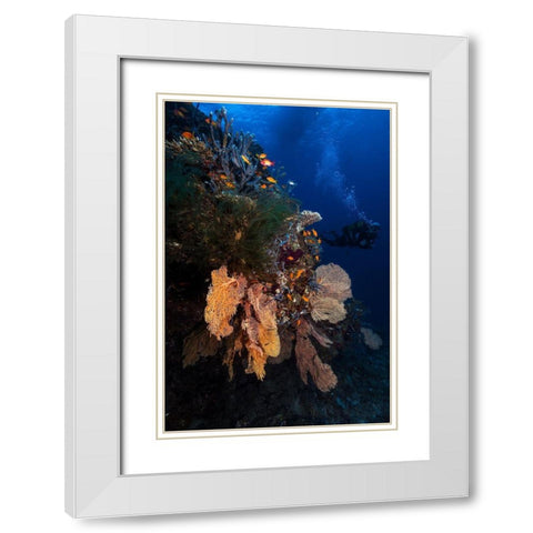 Diving White Modern Wood Framed Art Print with Double Matting by Gabriel, Barathieu