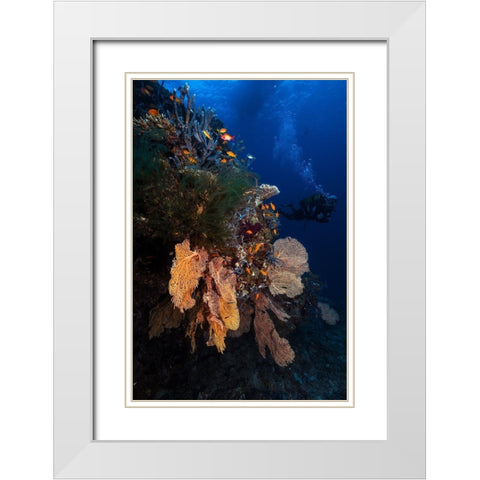 Diving White Modern Wood Framed Art Print with Double Matting by Gabriel, Barathieu