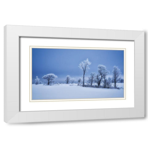 Winterland White Modern Wood Framed Art Print with Double Matting by Duguay, Christian