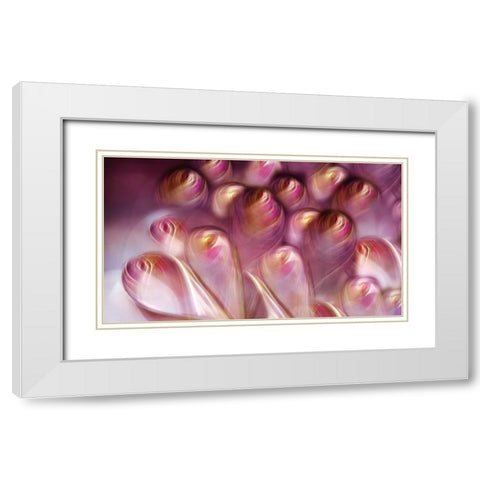 Rosebuds White Modern Wood Framed Art Print with Double Matting by Westum, Heidi