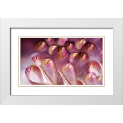 Rosebuds White Modern Wood Framed Art Print with Double Matting by Westum, Heidi