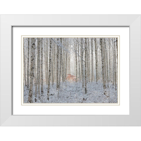 White White Modern Wood Framed Art Print with Double Matting by Dong Hee, Han