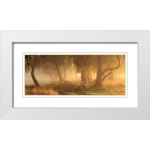 Morning Mist White Modern Wood Framed Art Print with Double Matting by Smith, Garth