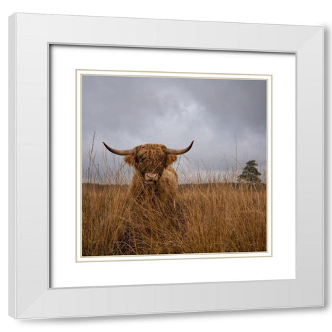 It Wasnt Me White Modern Wood Framed Art Print with Double Matting by Van Den, Gert