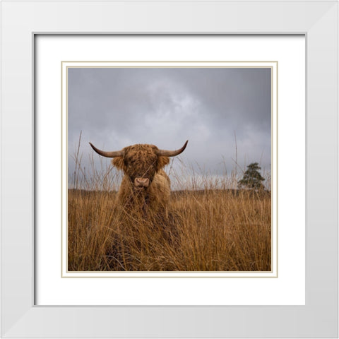 It Wasnt Me White Modern Wood Framed Art Print with Double Matting by Van Den, Gert