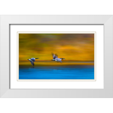 Mom-Dad-Wait For Me! White Modern Wood Framed Art Print with Double Matting by Wang, Kevin