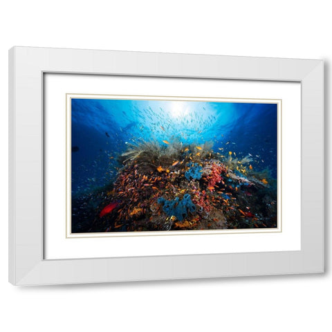 Apnea White Modern Wood Framed Art Print with Double Matting by Gabriel, Barathieu