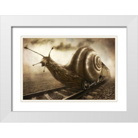 Snail Mail White Modern Wood Framed Art Print with Double Matting by Kiciak, Christophe