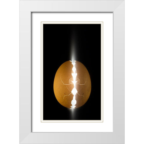 Alien Egg White Modern Wood Framed Art Print with Double Matting by De Kogel, Wieteke