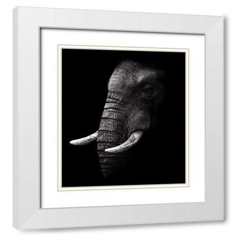 Portrait White Modern Wood Framed Art Print with Double Matting by Wildphotoart