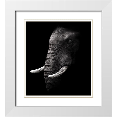 Portrait White Modern Wood Framed Art Print with Double Matting by Wildphotoart