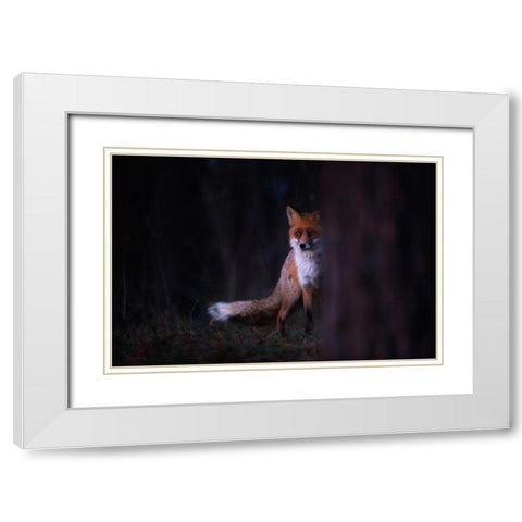 Glances White Modern Wood Framed Art Print with Double Matting by Mastahac, Sebastian