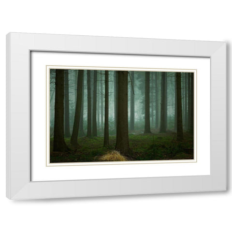 The Cold-Dark Days Of Winter White Modern Wood Framed Art Print with Double Matting by Borggreve, Ellen