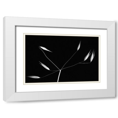 Light And Simplicity White Modern Wood Framed Art Print with Double Matting by Azevedo, Olavo