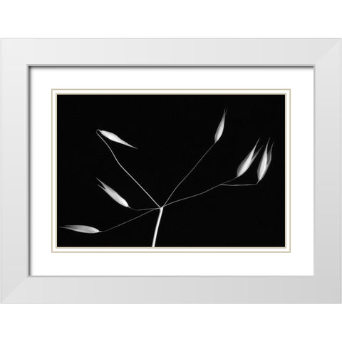 Light And Simplicity White Modern Wood Framed Art Print with Double Matting by Azevedo, Olavo
