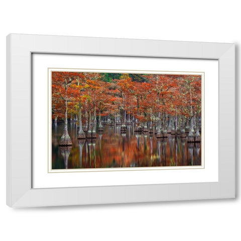Quiet Cove White Modern Wood Framed Art Print with Double Matting by Moore, Chris
