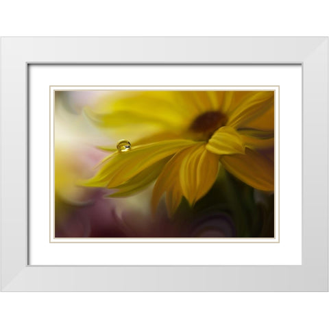 Sunbeam... White Modern Wood Framed Art Print with Double Matting by Nan, Juliana