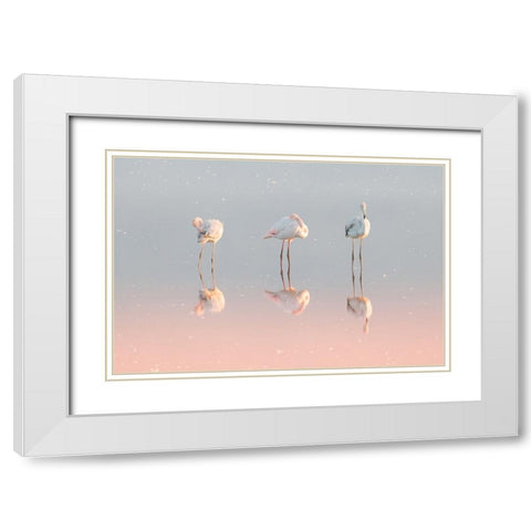 Three Flamingos ... White Modern Wood Framed Art Print with Double Matting by Rublina, Natalia