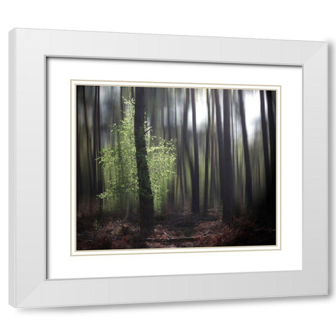 Spring Forest White Modern Wood Framed Art Print with Double Matting by Cseresnjes, Anna