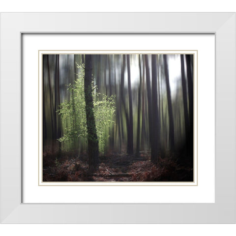 Spring Forest White Modern Wood Framed Art Print with Double Matting by Cseresnjes, Anna