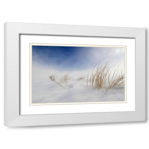 Sunny Snowstorm White Modern Wood Framed Art Print with Double Matting by Tonti, Carlo