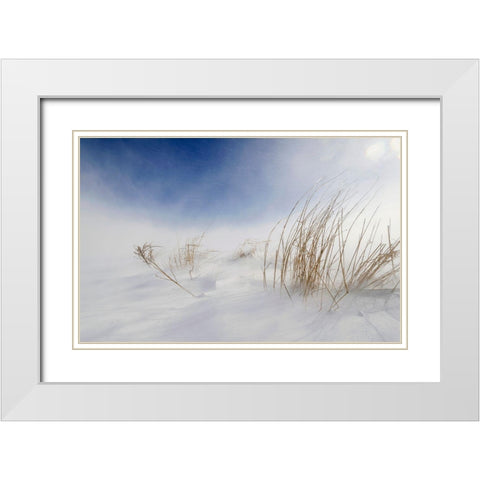 Sunny Snowstorm White Modern Wood Framed Art Print with Double Matting by Tonti, Carlo