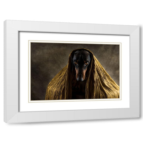 Golden Eyes White Modern Wood Framed Art Print with Double Matting by Willers, Heike