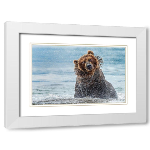 Shaking - Kamchatka-Russia White Modern Wood Framed Art Print with Double Matting by Damico, Giuseppe