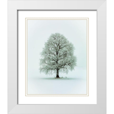 Nimloth White Modern Wood Framed Art Print with Double Matting by Hieke, Heinz