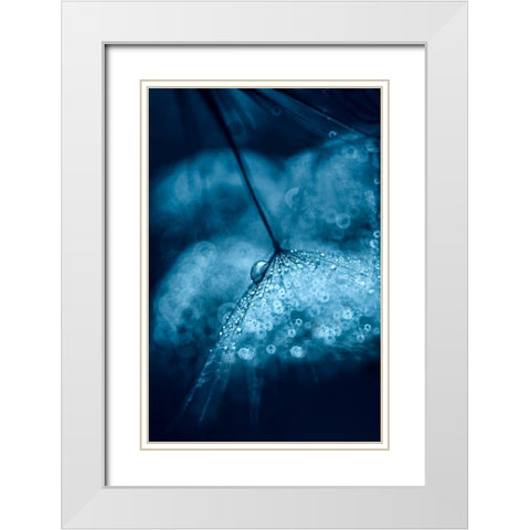 Blue White Modern Wood Framed Art Print with Double Matting by Blagoeva, Ivelina