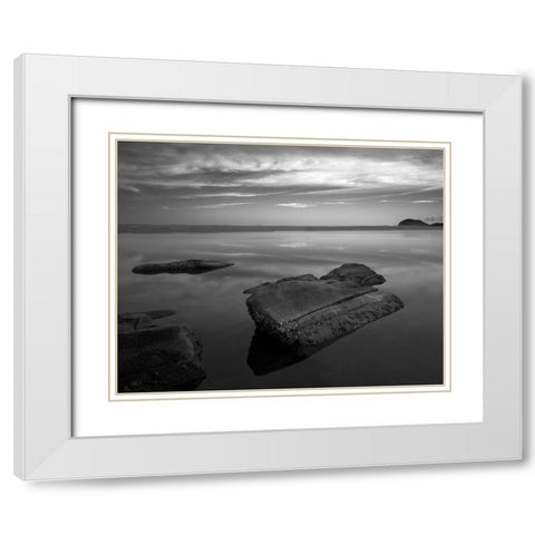 Itaguarac #01 White Modern Wood Framed Art Print with Double Matting by Sousa Dias, Nana