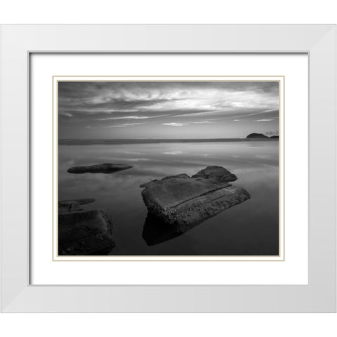 Itaguarac #01 White Modern Wood Framed Art Print with Double Matting by Sousa Dias, Nana