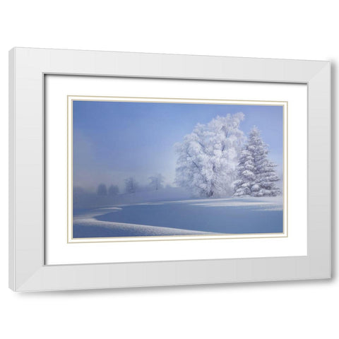 Crispy Morning White Modern Wood Framed Art Print with Double Matting by Veroniques