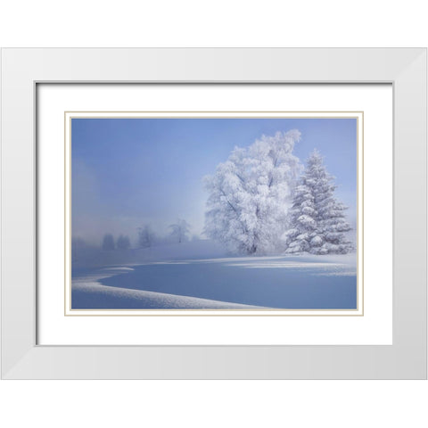 Crispy Morning White Modern Wood Framed Art Print with Double Matting by Veroniques