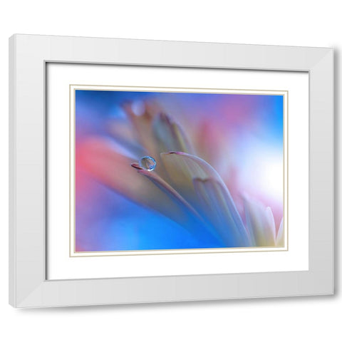Touch Me Softly... White Modern Wood Framed Art Print with Double Matting by Nan, Juliana