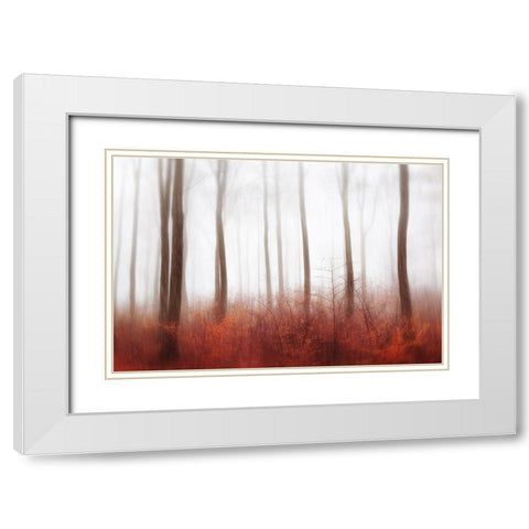 Endless Woods White Modern Wood Framed Art Print with Double Matting by Davidsson, Gustav
