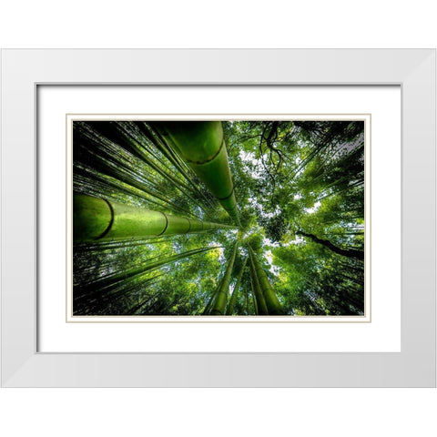 Arashiyama White Modern Wood Framed Art Print with Double Matting by Ros, David