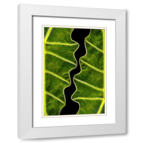 Balance White Modern Wood Framed Art Print with Double Matting by Memensaputra