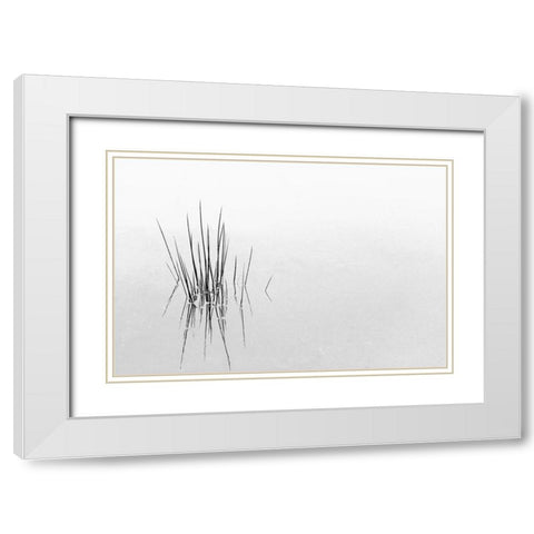 Reflections White Modern Wood Framed Art Print with Double Matting by Azevedo, Olavo