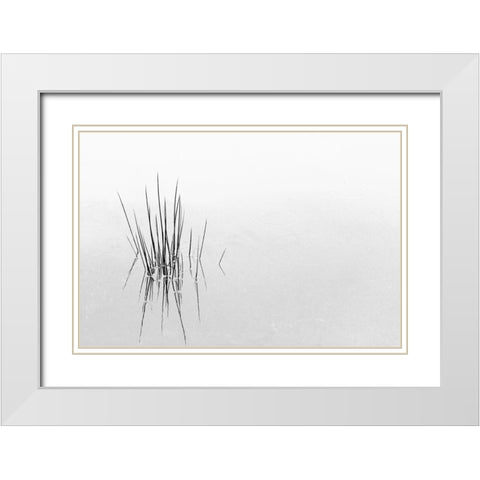 Reflections White Modern Wood Framed Art Print with Double Matting by Azevedo, Olavo