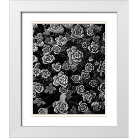 Tuc 1 White Modern Wood Framed Art Print with Double Matting by Sousa Dias, Nana