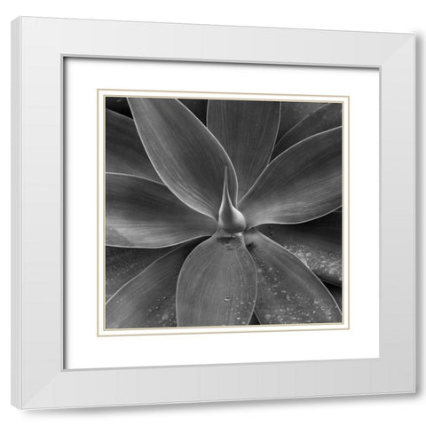 Sintra #06 White Modern Wood Framed Art Print with Double Matting by Sousa Dias, Nana