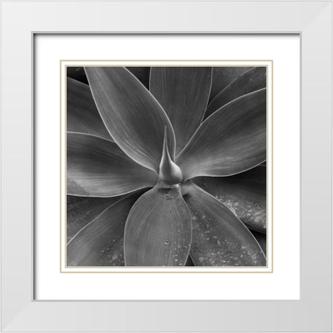 Sintra #06 White Modern Wood Framed Art Print with Double Matting by Sousa Dias, Nana